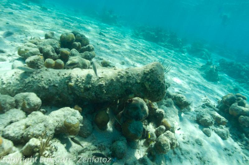 BVI Diving-0023.jpg